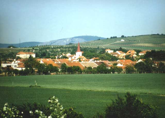 Vyklízení Rakvice
